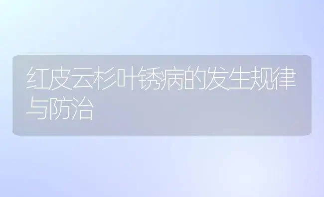 红皮云杉叶锈病的发生规律与防治 | 植物病虫害