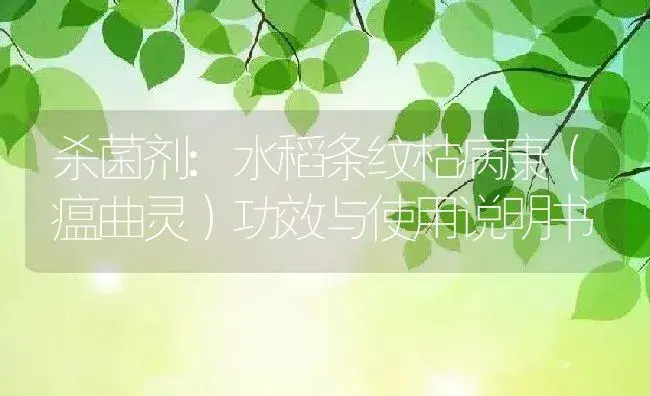 杀菌剂：水稻条纹枯病康（瘟曲灵） | 适用防治对象及农作物使用方法说明书 | 植物农药