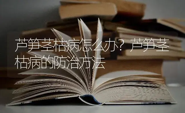 芦笋茎枯病怎么办？芦笋茎枯病的防治方法 | 蔬菜种植