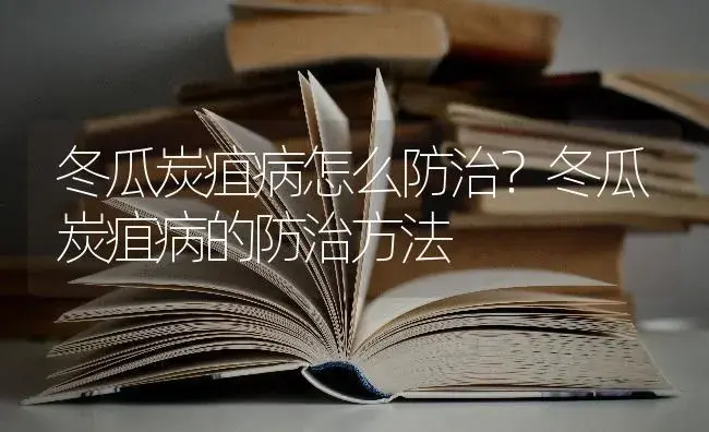 冬瓜炭疽病怎么防治？冬瓜炭疽病的防治方法 | 蔬菜种植