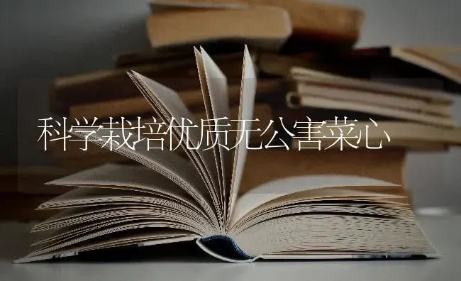 科学栽培优质无公害菜心 | 蔬菜种植