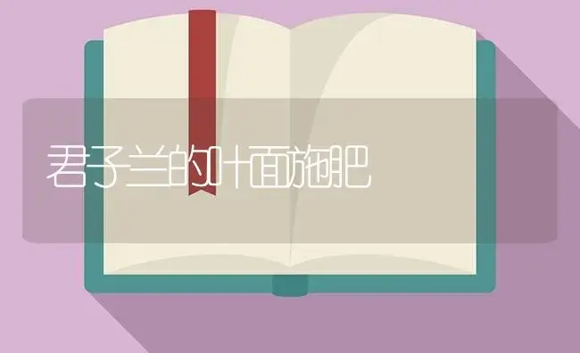 君子兰的叶面施肥 | 植物肥料