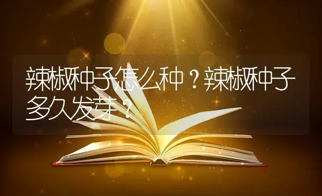 辣椒种子怎么种？辣椒种子多久发芽？ | 蔬菜种植