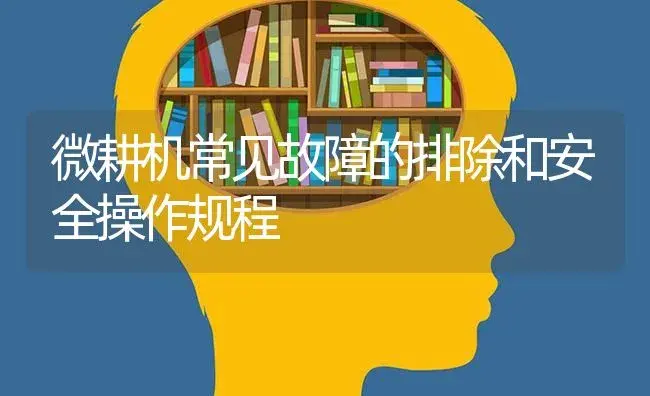 微耕机常见故障的排除和安全操作规程 | 农资农机