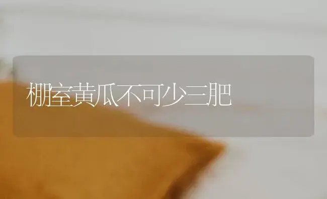 胡萝卜病虫害防治 | 蔬菜种植