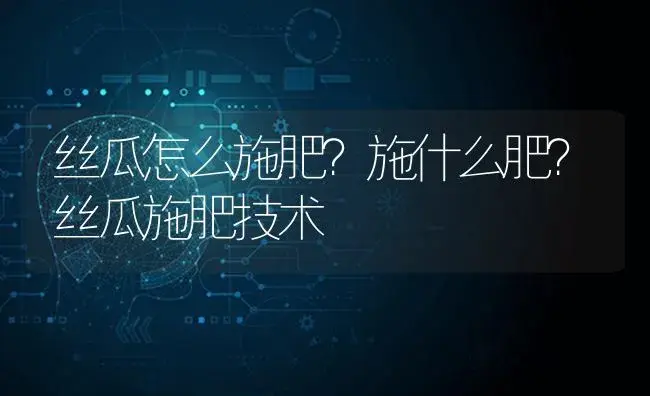 丝瓜怎么施肥？施什么肥？丝瓜施肥技术 | 蔬菜种植