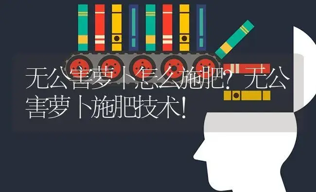 无公害萝卜怎么施肥？无公害萝卜施肥技术！ | 蔬菜种植