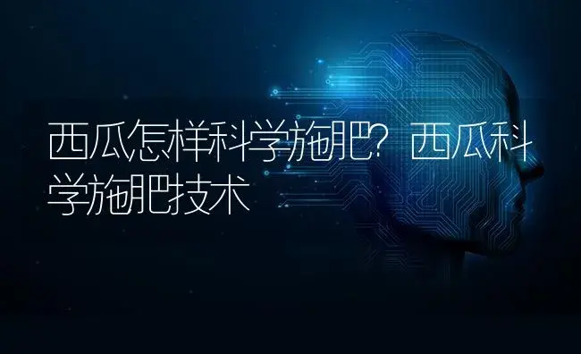 西瓜怎样科学施肥？西瓜科学施肥技术 | 蔬菜种植