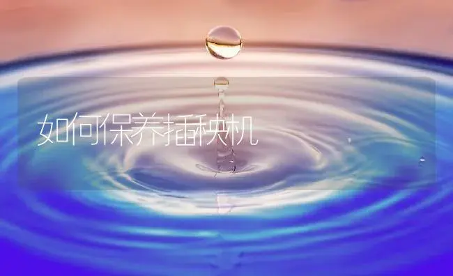 如何保养插秧机 | 农资农机