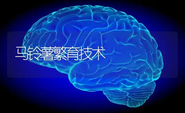 马铃薯繁育技术 | 蔬菜种植