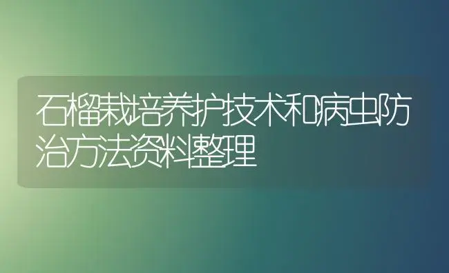 石榴栽培养护技术和病虫防治方法资料整理 | 植物病虫害