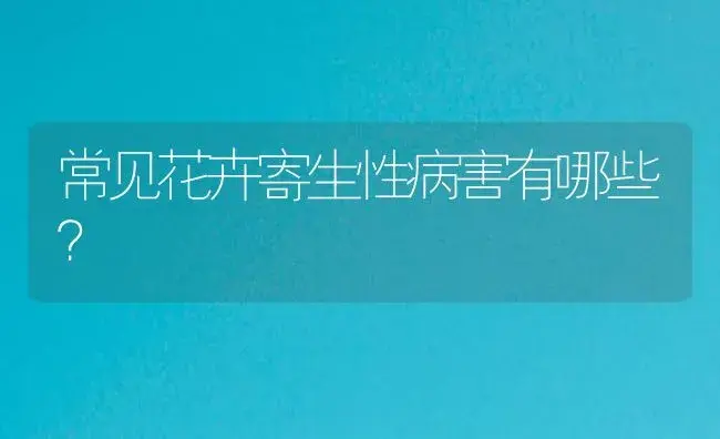 常见花卉寄生性病害有哪些？ | 植物病虫害