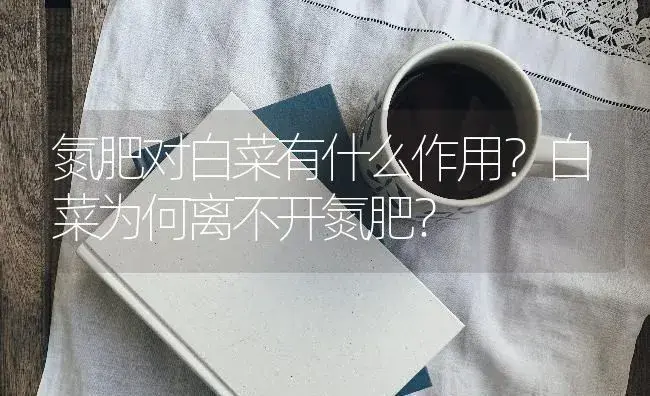 氮肥对白菜有什么作用？白菜为何离不开氮肥？ | 蔬菜种植