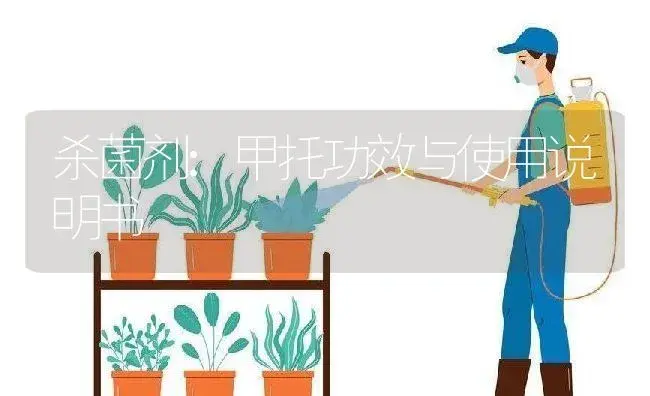 杀菌剂：甲托 | 适用防治对象及农作物使用方法说明书 | 植物农药