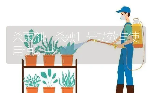 杀菌剂：杀殃1号 | 适用防治对象及农作物使用方法说明书 | 植物农药