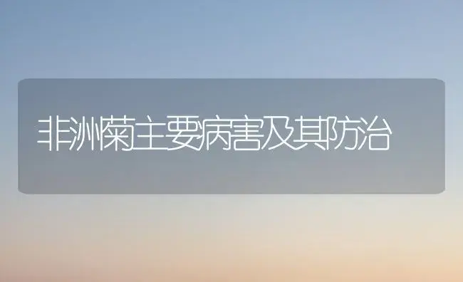 非洲菊主要病害及其防治 | 植物病虫害