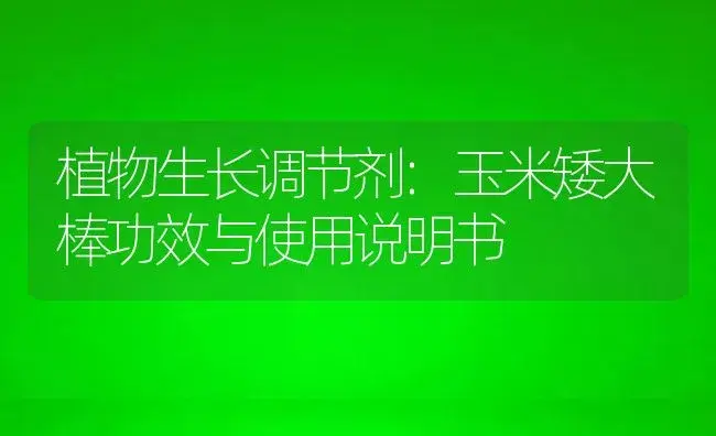 植物生长调节剂：玉米矮大棒 | 适用防治对象及农作物使用方法说明书 | 植物农药