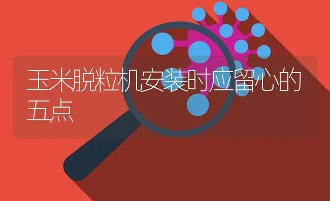 玉米脱粒机安装时应留心的五点 | 农资农机