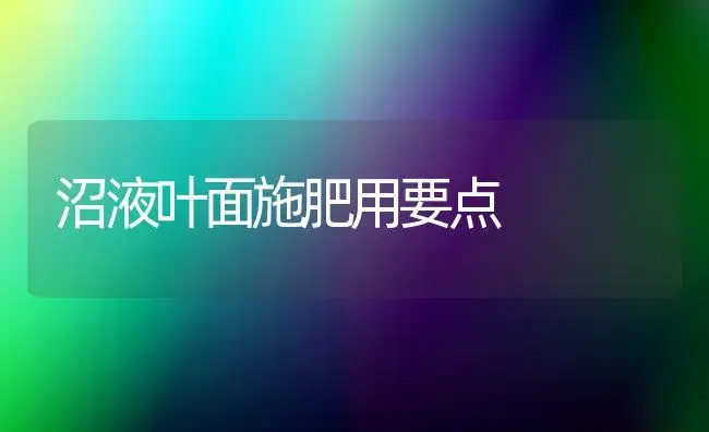 沼液叶面施肥用要点 | 植物肥料