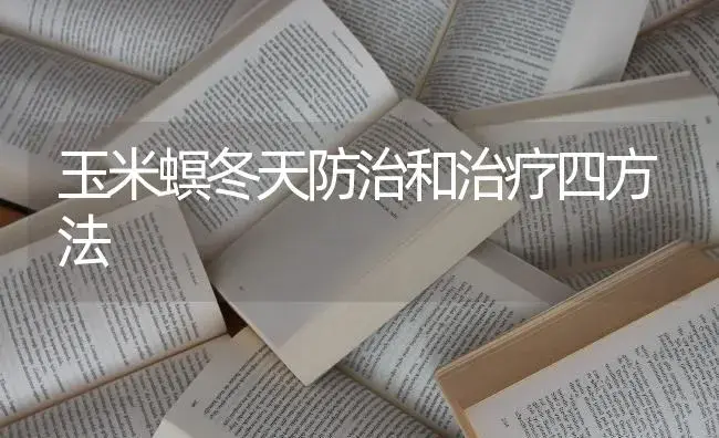 玉米螟冬天防治和治疗四方法 | 蔬菜种植