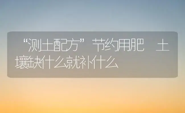 “测土配方”节约用肥 土壤缺什么就补什么 | 植物肥料