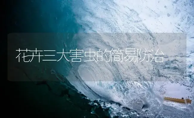 无农药污染韭菜新药＂韭蛆净＂ | 植物病虫害