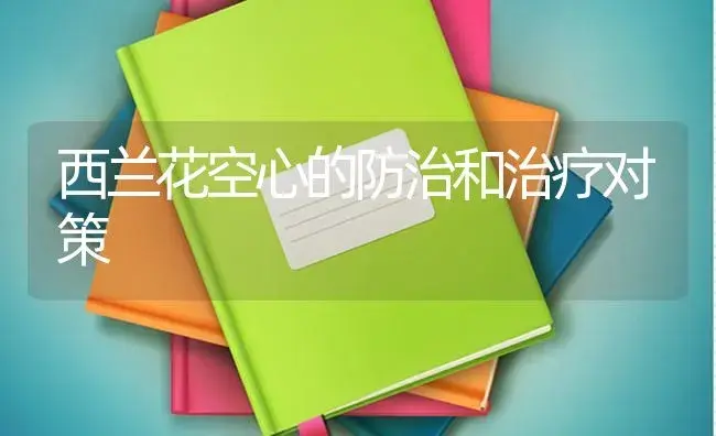 西兰花空心的防治和治疗对策 | 蔬菜种植