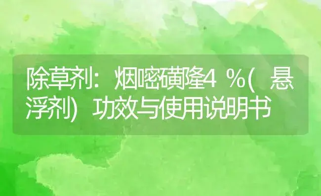 除草剂：烟嘧磺隆4%(悬浮剂) | 适用防治对象及农作物使用方法说明书 | 植物农药