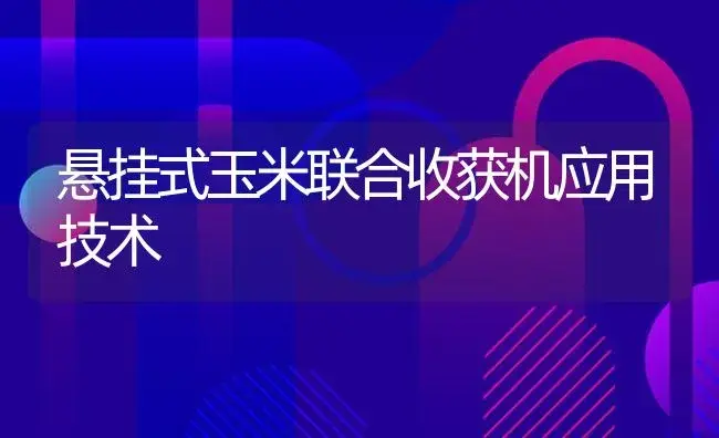 悬挂式玉米联合收获机应用技术 | 农资农机