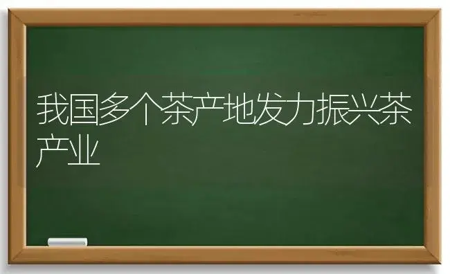 我国多个茶产地发力振兴茶产业 | 蔬菜种植