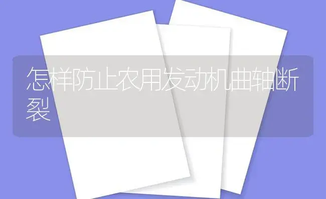 怎样防止农用发动机曲轴断裂 | 农资农机