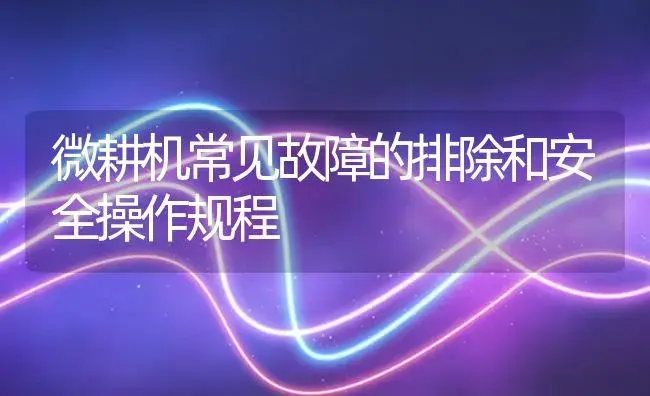 微耕机常见故障的排除和安全操作规程 | 农资农机