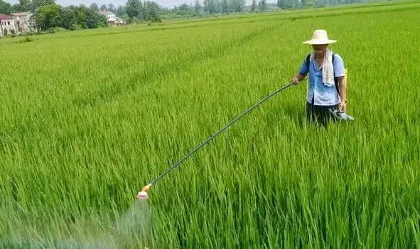 打药没成效？你买对农药了吗？千万别白花冤枉钱！