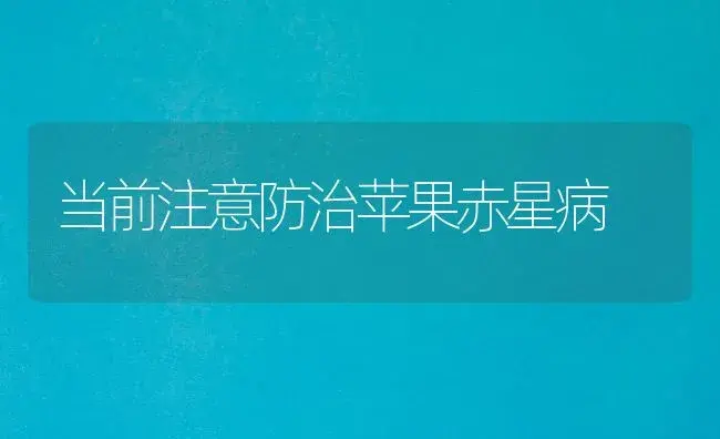 当前注意防治苹果赤星病 | 植物病虫害