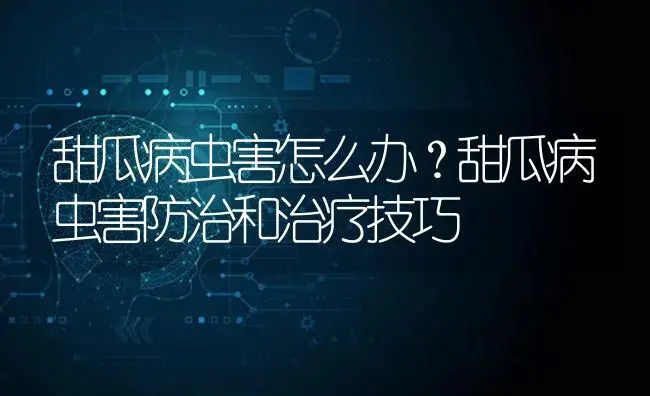 甜瓜病虫害怎么办？甜瓜病虫害防治和治疗技巧 | 蔬菜种植