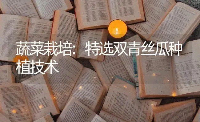 蔬菜栽培:特选双青丝瓜种植技术 | 蔬菜种植