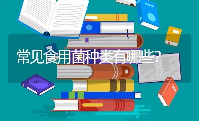 胡萝卜什么时候育苗？胡萝卜育苗高产技术要点！ | 蔬菜种植