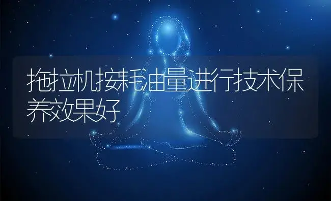 拖拉机按耗油量进行技术保养效果好 | 农资农机