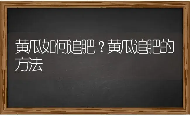 黄瓜如何追肥？黄瓜追肥的方法 | 蔬菜种植