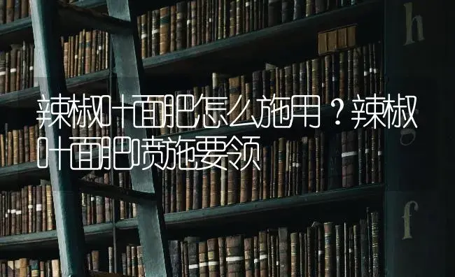 辣椒叶面肥怎么施用？辣椒叶面肥喷施要领 | 蔬菜种植