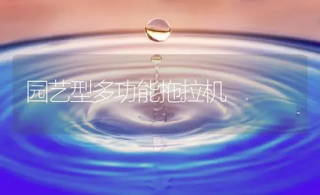 园艺型多功能拖拉机 | 农资农机