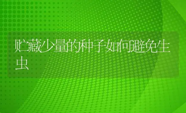 贮藏少量的种子如何避免生虫 | 植物病虫害