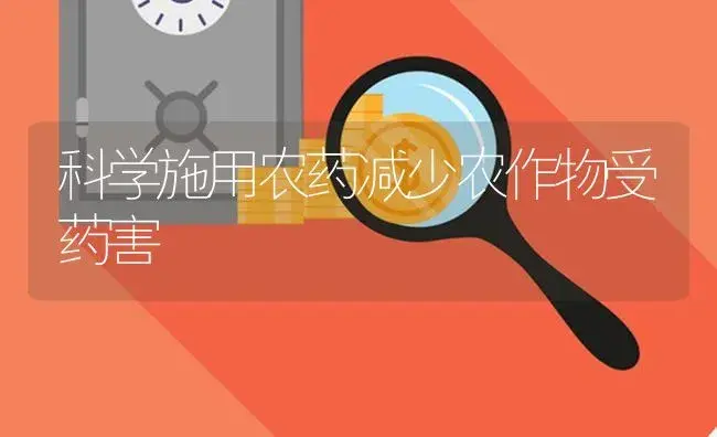 科学施用农药减少农作物受药害 | 植物病虫害