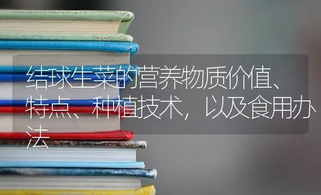 结球生菜的营养物质价值、特点、种植技术，以及食用办法 | 蔬菜种植