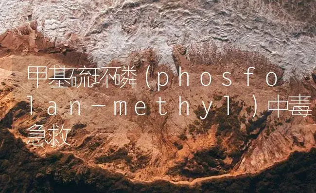 甲基硫环磷（phosfolan-methyl）中毒急救 | 植物病虫害