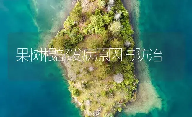 果树根部发病原因与防治 | 植物病虫害