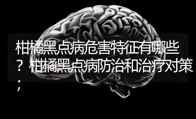 柑橘黑点病危害特征有哪些？柑橘黑点病防治和治疗对策； | 蔬菜种植