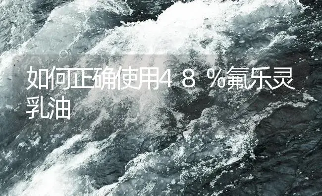 如何正确使用48％氟乐灵乳油 | 植物病虫害