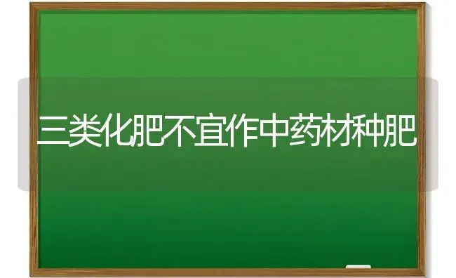 三类化肥不宜作中药材种肥 | 植物肥料