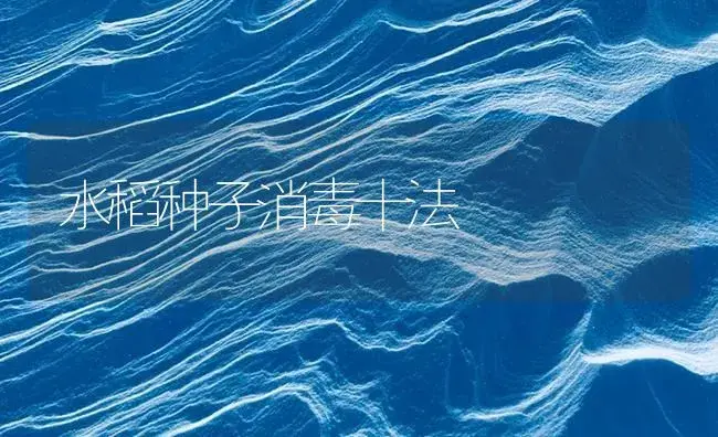 水稻种子消毒十法 | 植物病虫害